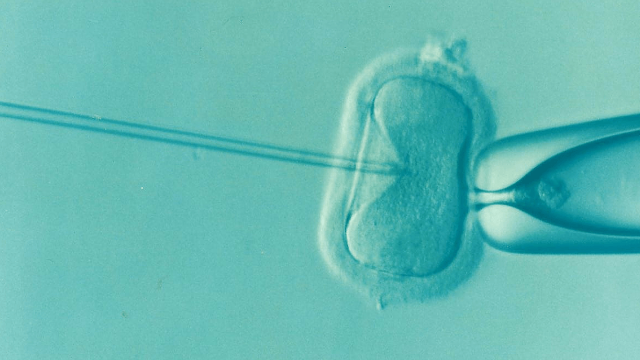 Security and Traceability in Assisted Reproduction