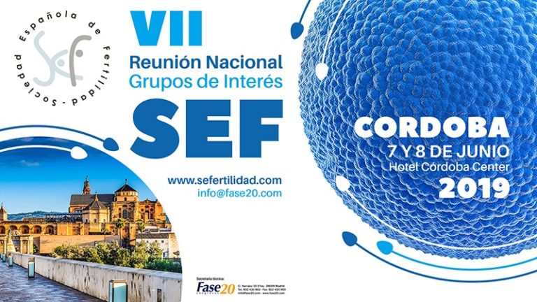 vii reunión nacional grupos de interés sef