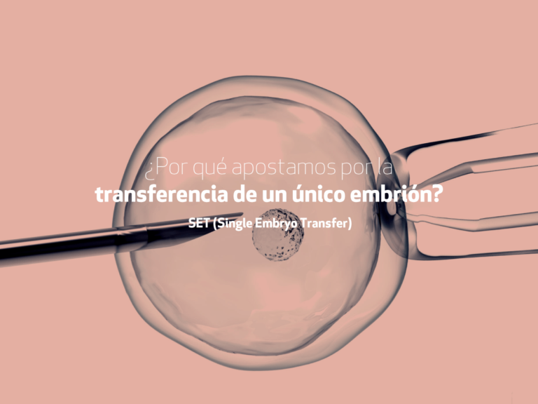 Transferencia de un único embrión