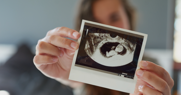 ¿Cómo es la evolución de vuestro bebé durante los 9 meses del embarazo?