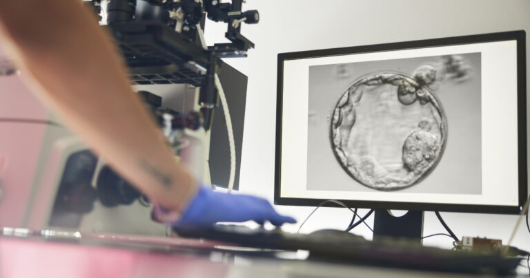 Fecundación in Vitro: mitos y verdades