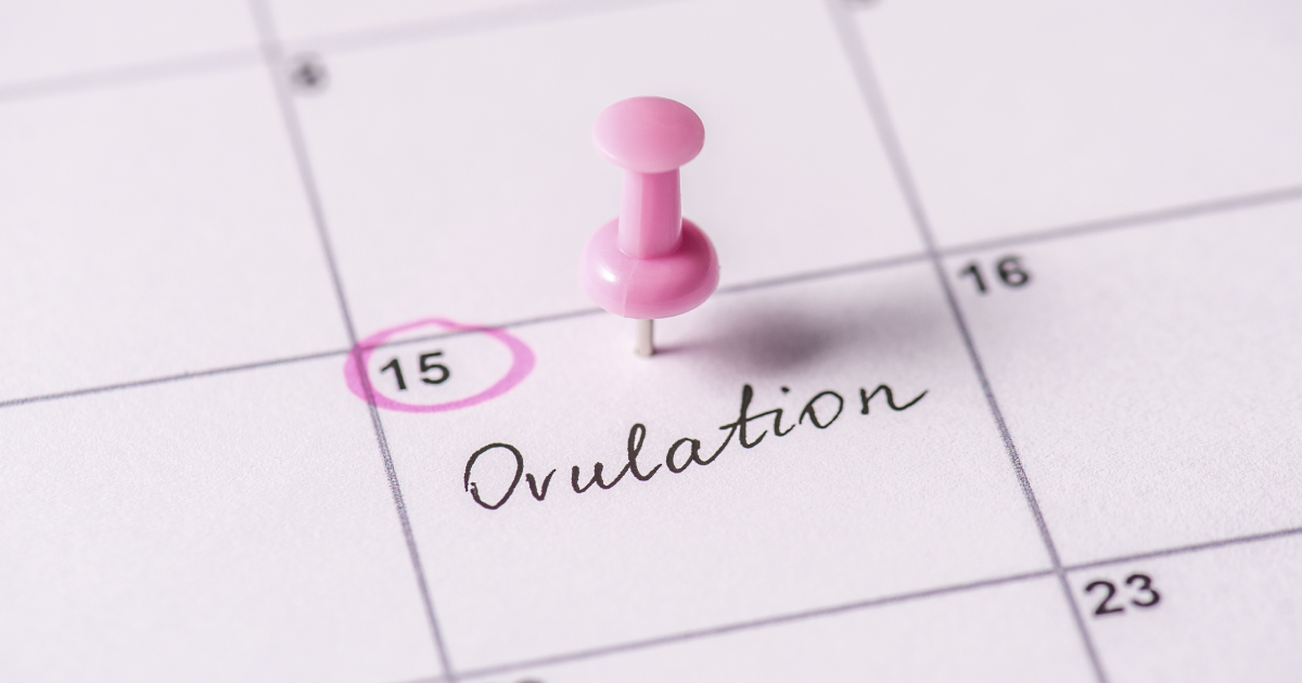 RB_Marz_06_Blog Ovulación irregular y embarazo