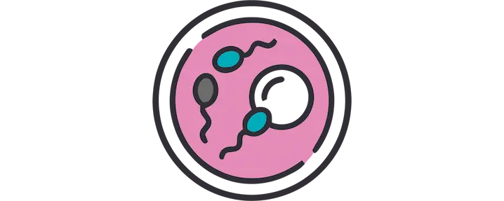 Fecundación In Vitro