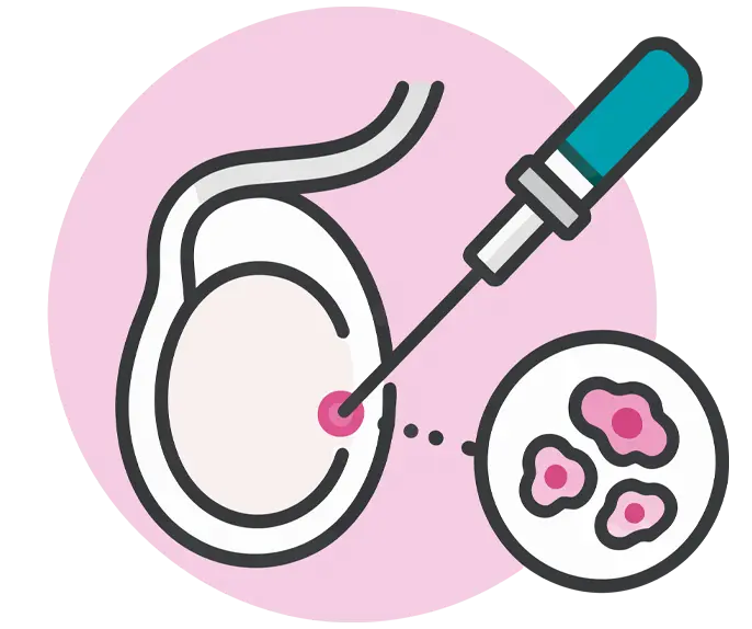 Proceso biopsia testicular